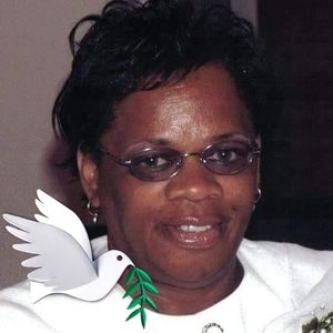 Meet your Posher, Gloria